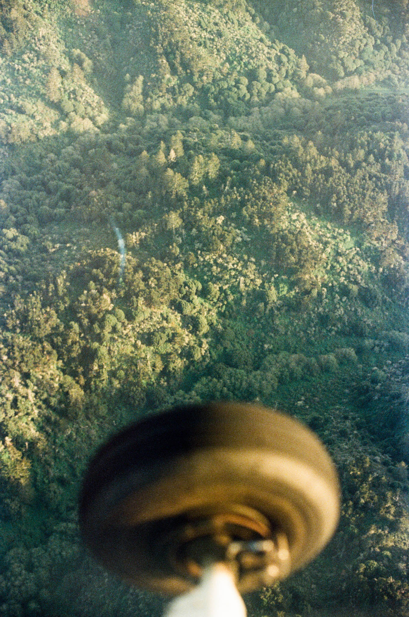 Bay Flight Expired Vision3 500T 00002