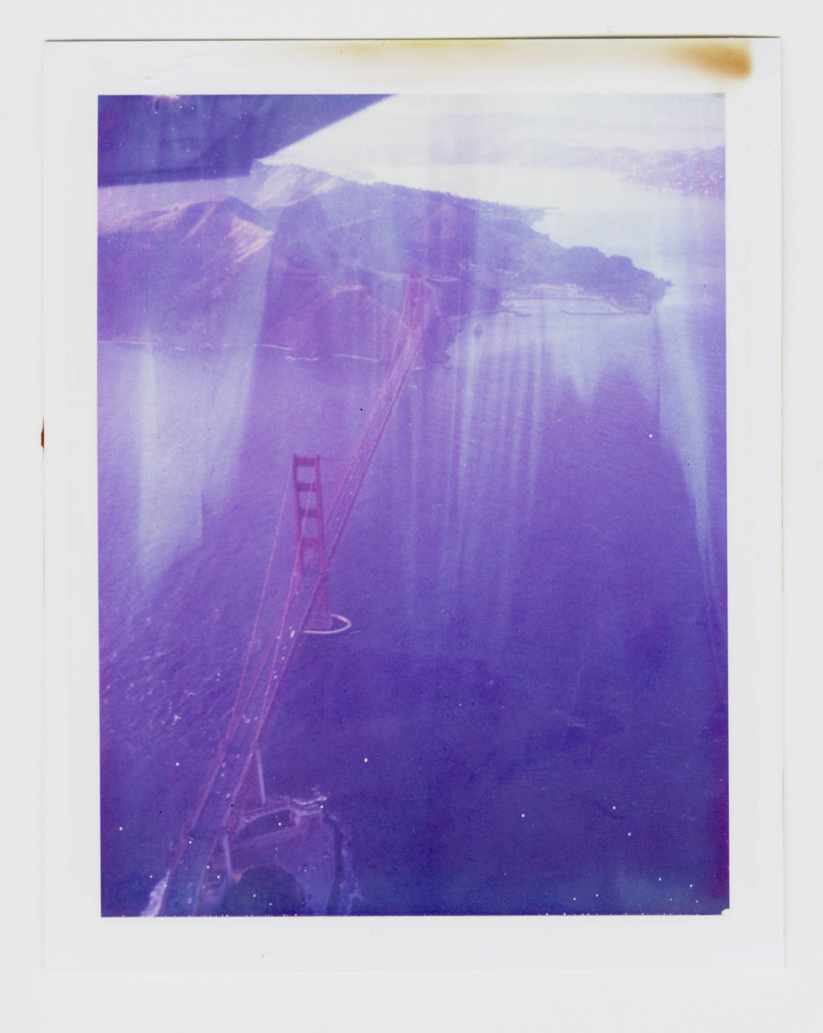 Bay Flight Polaroid ID UV 00002