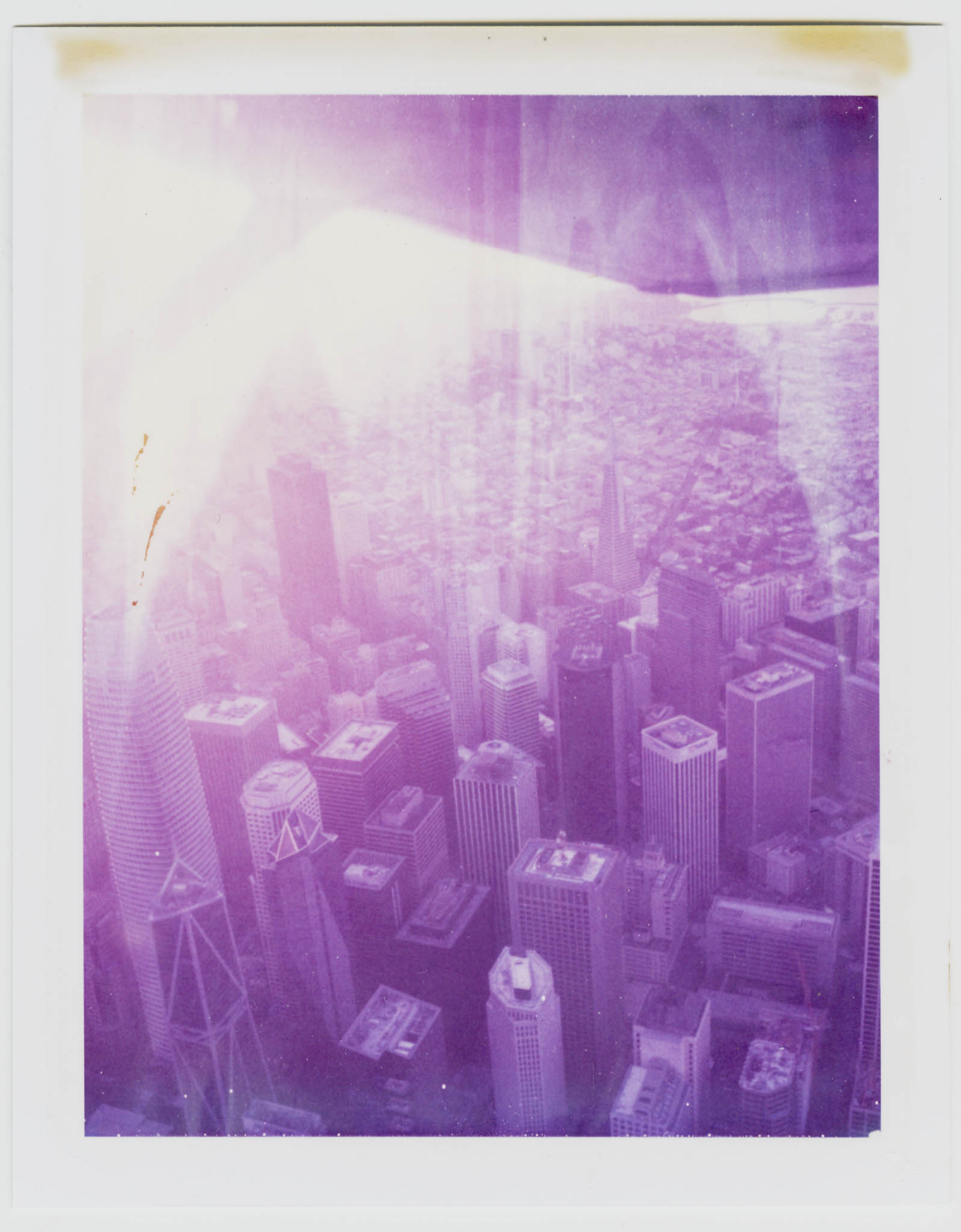 Bay Flight Polaroid ID UV 00003