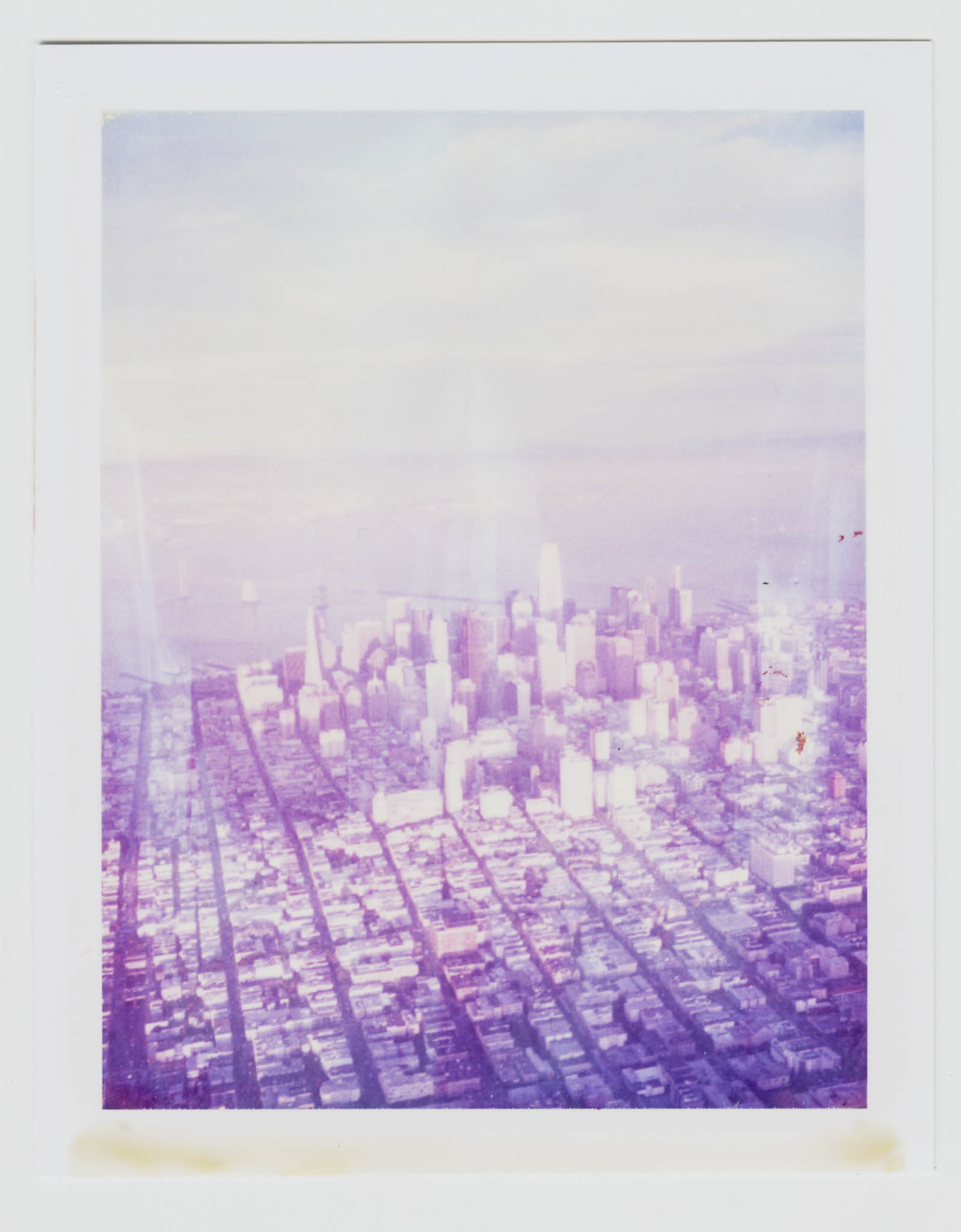Bay Flight Polaroid ID UV 00004