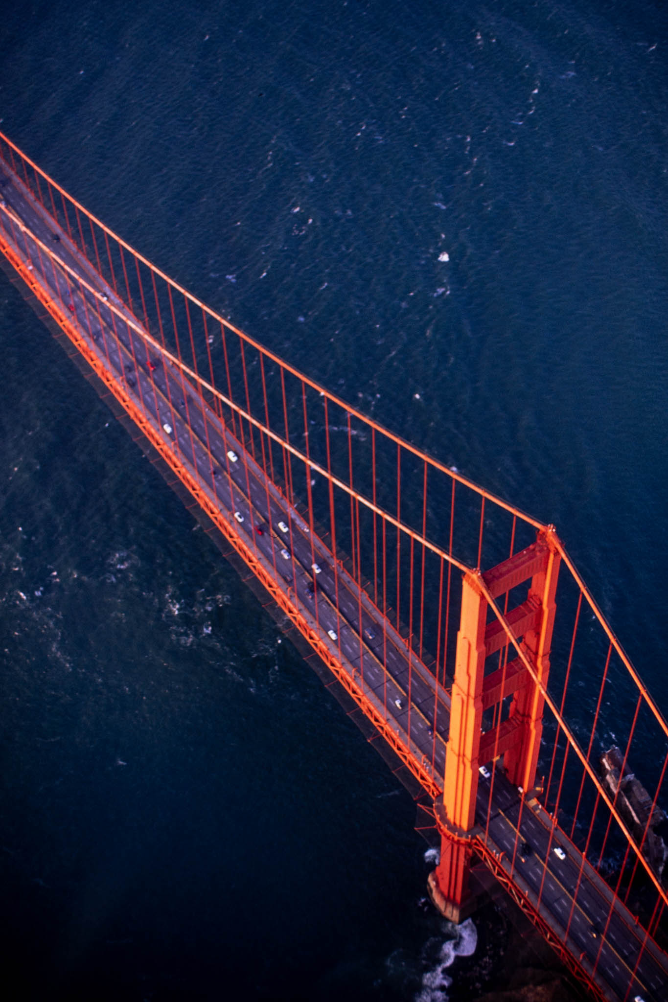Bay Flight Velvia 50 00006