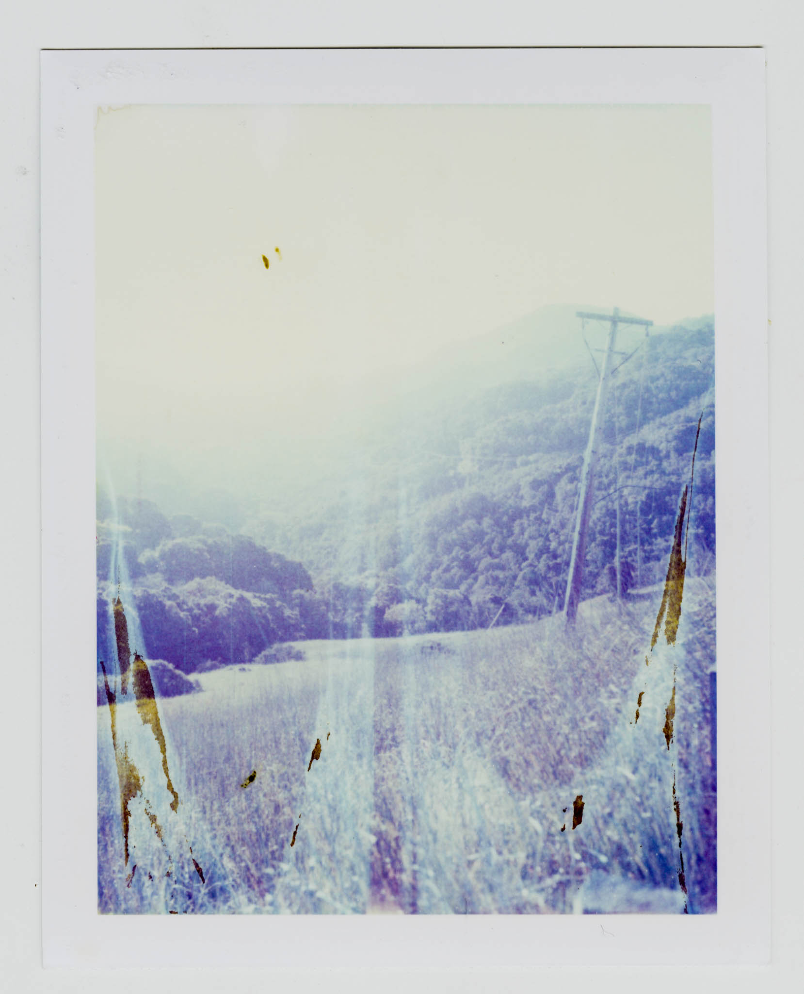 Big Alta 28k Polaroid ID UV 00002