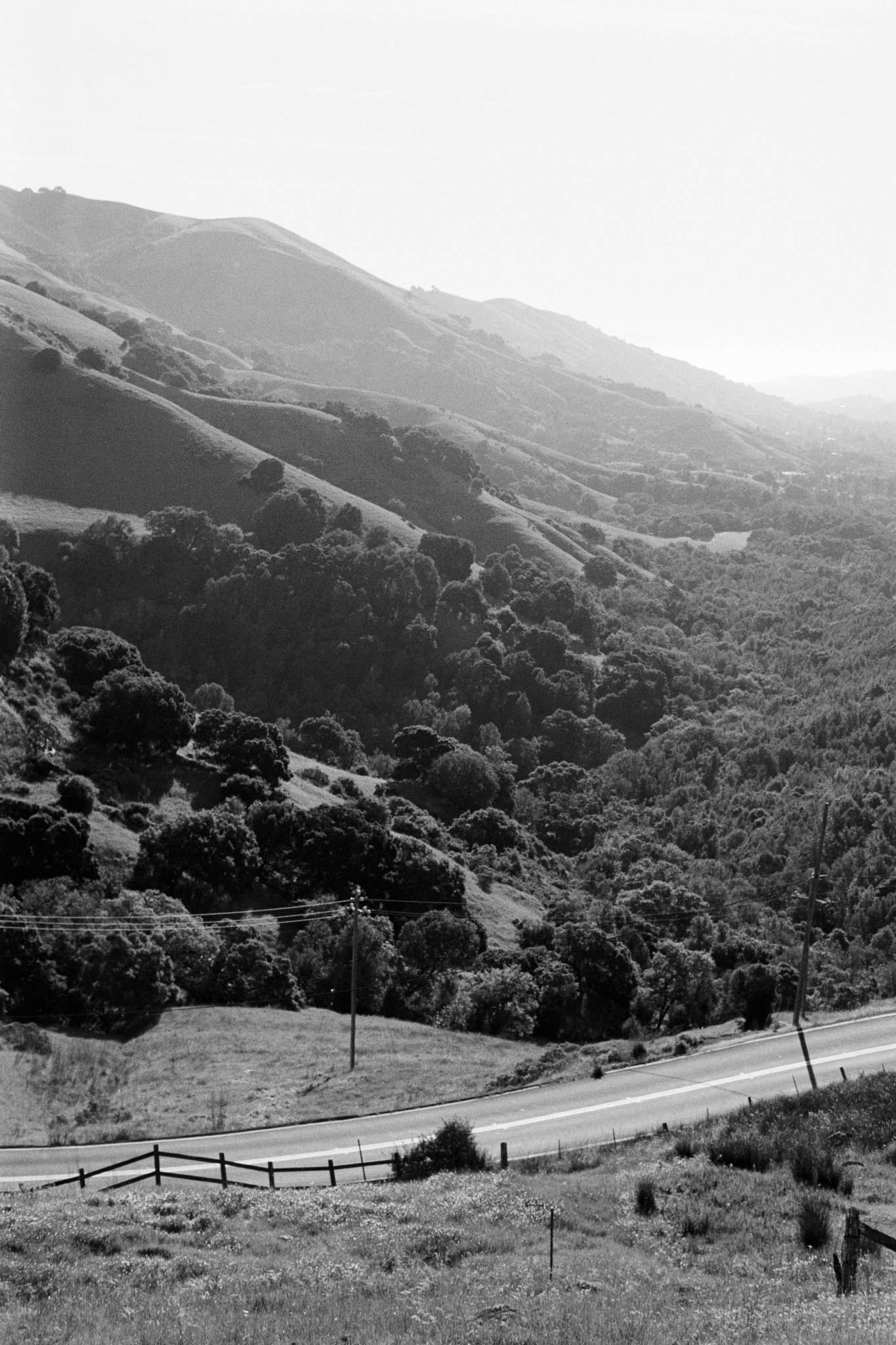 Big Alta 28k Tri X 00014