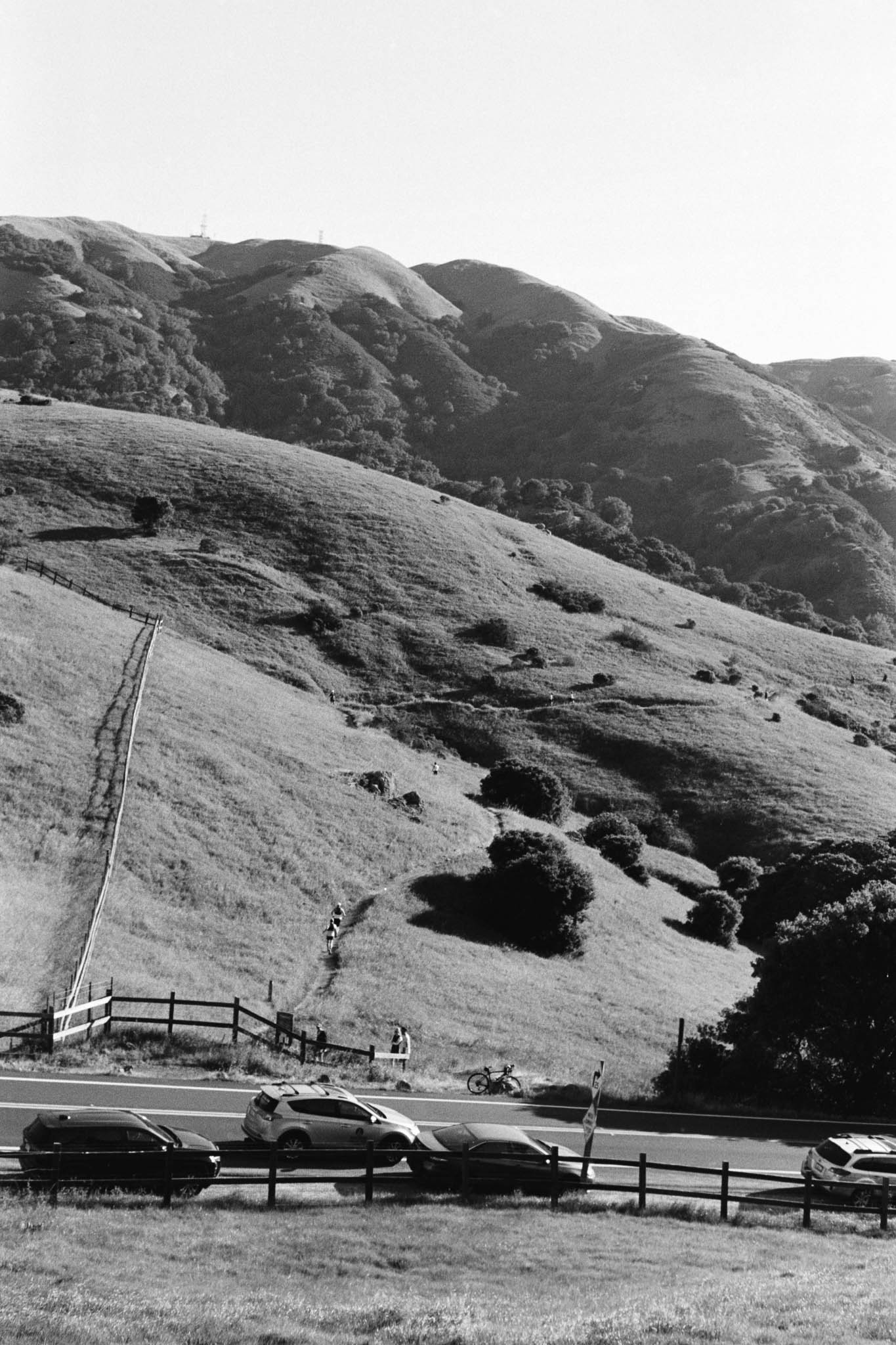 Big Alta 28k Tri X 00017