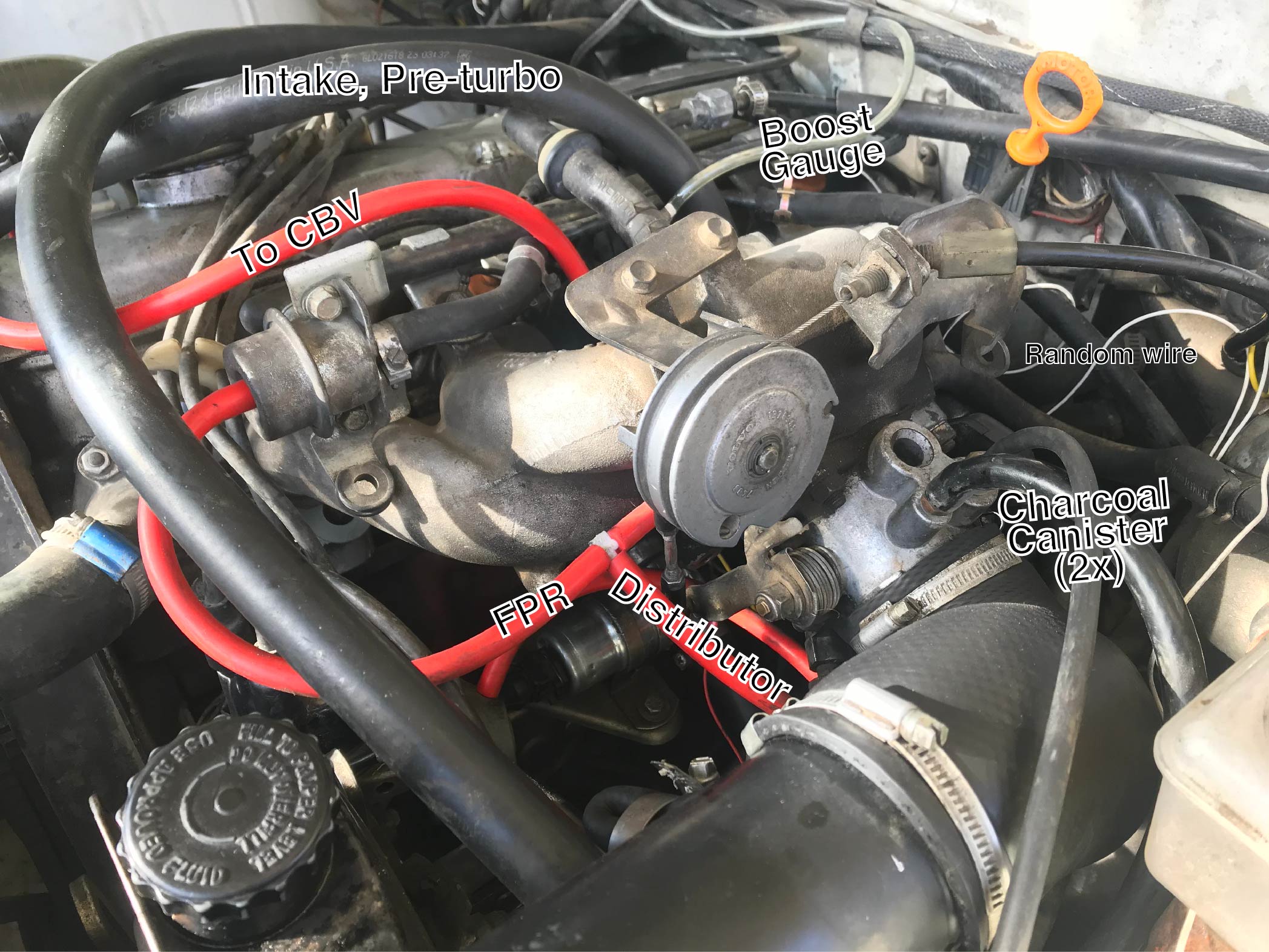 A mess of hoses and tubing inside a car engine bay